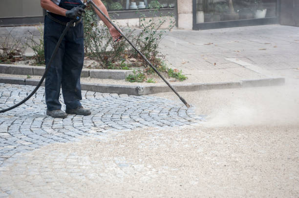 Best Sidewalk and Walkway Cleaning  in Nisswa, MN